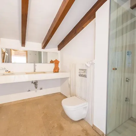 Ses Rentadores Villa *